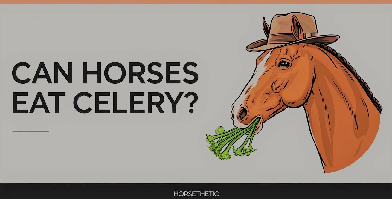 Can Horses Eat Celery?